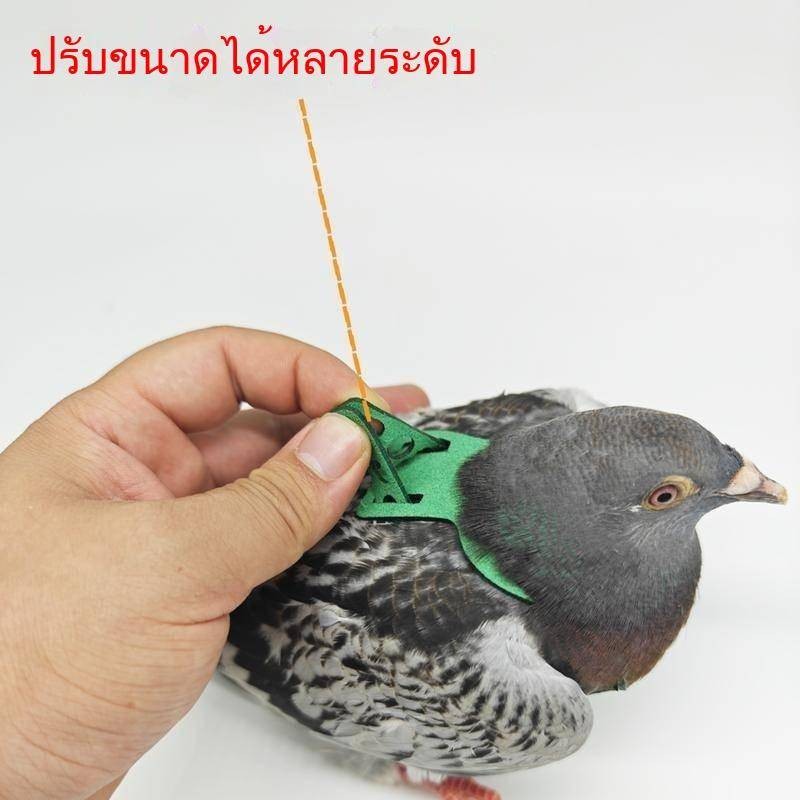 Pigeon Flying Rope Pigeon Traction Rope Pigeon Clothes Pigeon Foot Ring Pigeon Believe Pigeon Turtle
