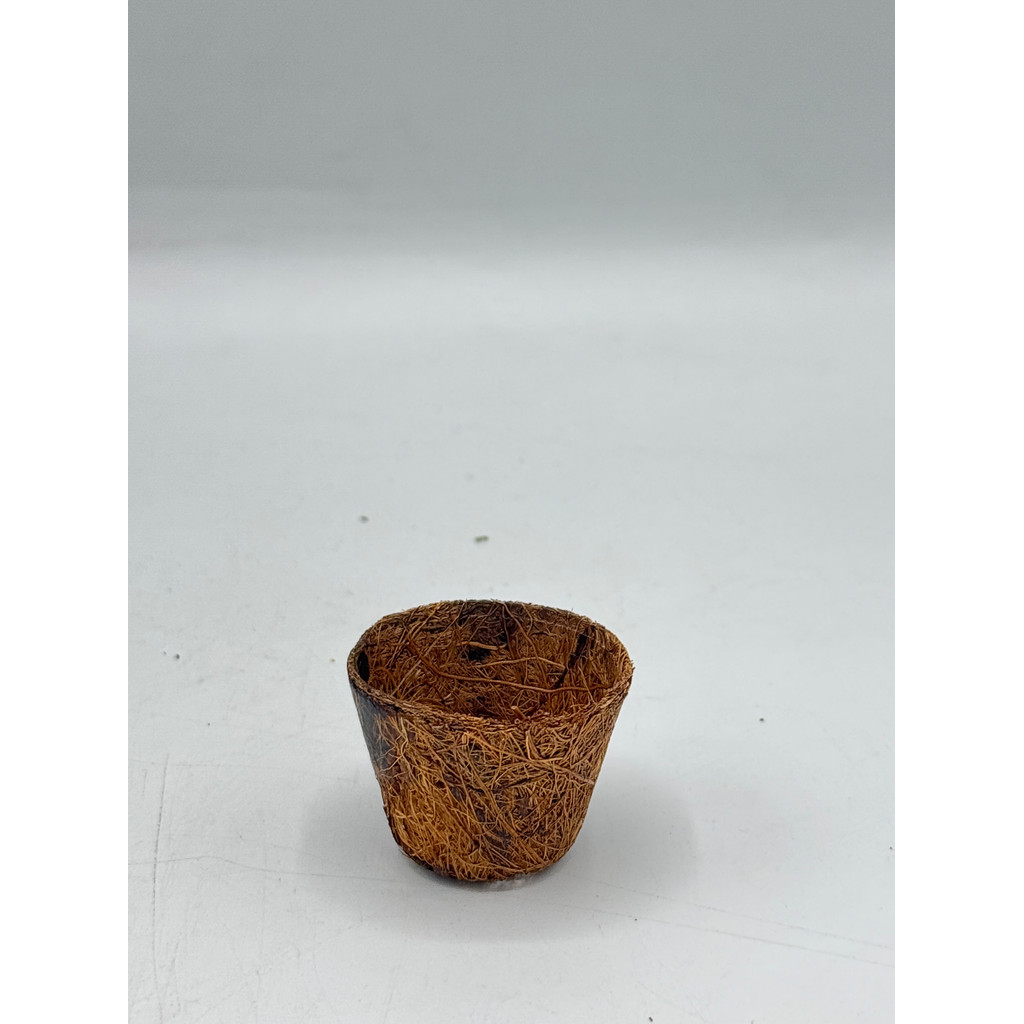 มุมมอง 5