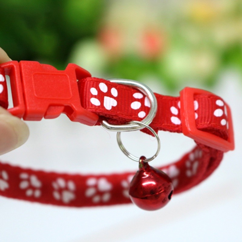 ✈️สินค้าอยู่ในไทย พร้อมส่ง✈️ปลอกคอสัตว์เลี้ยง ปลอกคอสุนัข หมา แมว bell pet collar  มี12สี ปรับขนาดได้ ราคา ถูกที่สุด ดีลบีเคเค แกลเลอรีภาพที่ 5