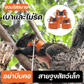 เชือกจูงสัตว์เลี้ยง สายจูงสัตว์เล็ก หนูแฮมสเตอร์ กระรอก กันลม กันหาย