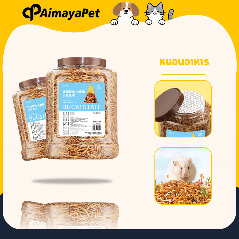 AimayaPet หนอนอาหาร อาหารหนูแฮมเตอร์ หนอนนก หนอนอาหารแห้ง หนอนแว๊กรำข้าวสาลีอบแห้ง1500ml