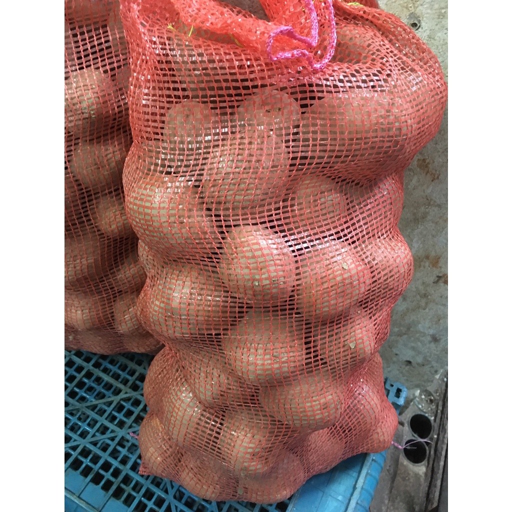 สด ใหม่!!!! มันฝรั่งสด [ทอดไม่ดำ] นอกฤดูมีแต่ลูกเล็ก - มันทอด ทำมันเกลียว เฟรนฟราย มันสำหรับแม่ค้า