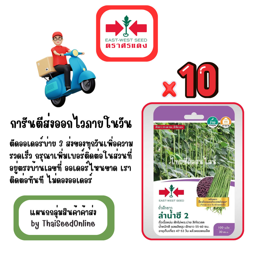 GG x 10 เมล็ดผักซองศรแดง ลำน้ำชี2 ถั่วฝักยาว สินค้ายกแพ็ค