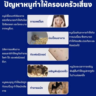 ซื้อ 1 แถม 1💯 วางไว้ ไม่มีหนูอีก 💯 เจลไล่หนู ใช้ง่าย ไร้สารพิษและปลอดภัย ไม่มีผลกระทบต่อเด็กและสัตว์เลี้ยง ไล่หนู