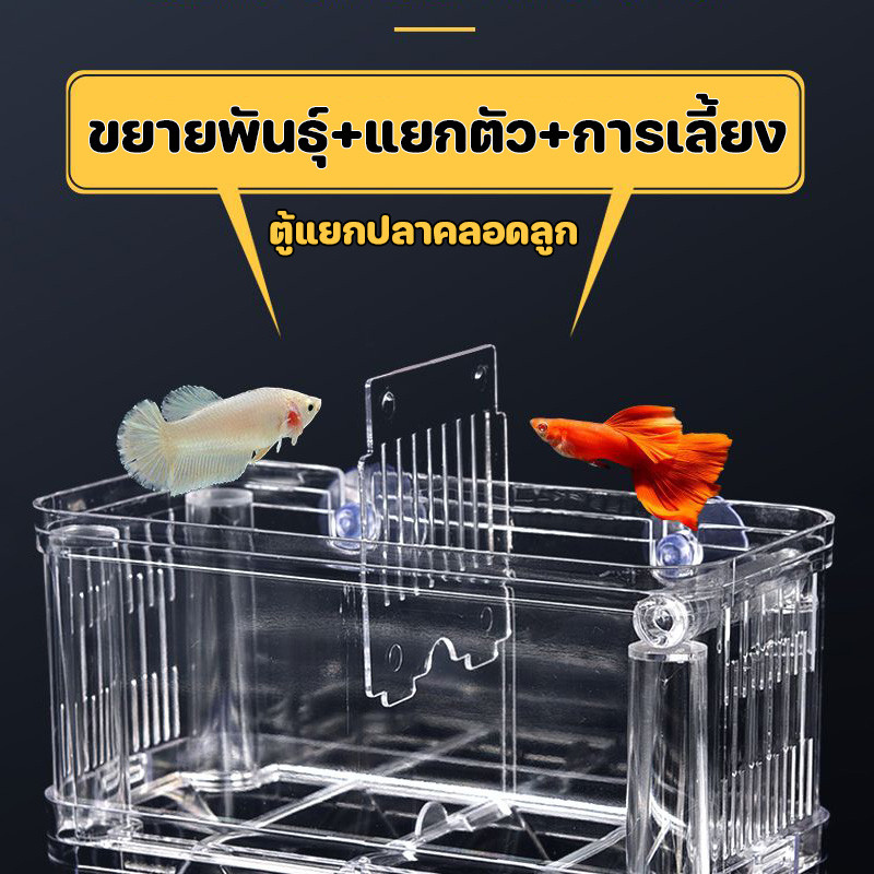กล่องกักกันอเนกประสงค์สำหรับตู้ปลา โซน วัสดุอะครีลิกใส สำหรับเพาะพันธุ์ปลา กักกันโรค อนุบาลลูกปลา