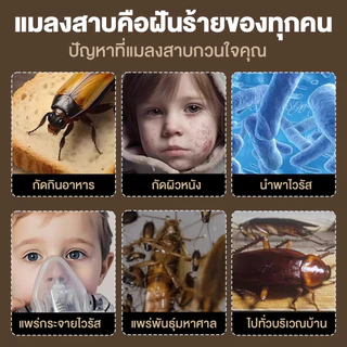 ยากำจัดแมลงสาบ ชิ้น กำจัดแมลงสาบ บ้านแมลงสาบ ที่ดักแมลงสาบ Black cap บล็อคแคปซูลฆ่าแมลงสา