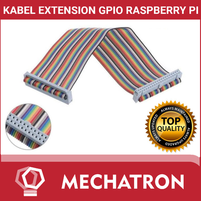 ES99 40 พิน GPIO Pelangi สาย 20 ซม. Dupont Cable Extension Raspberry Pi RPI