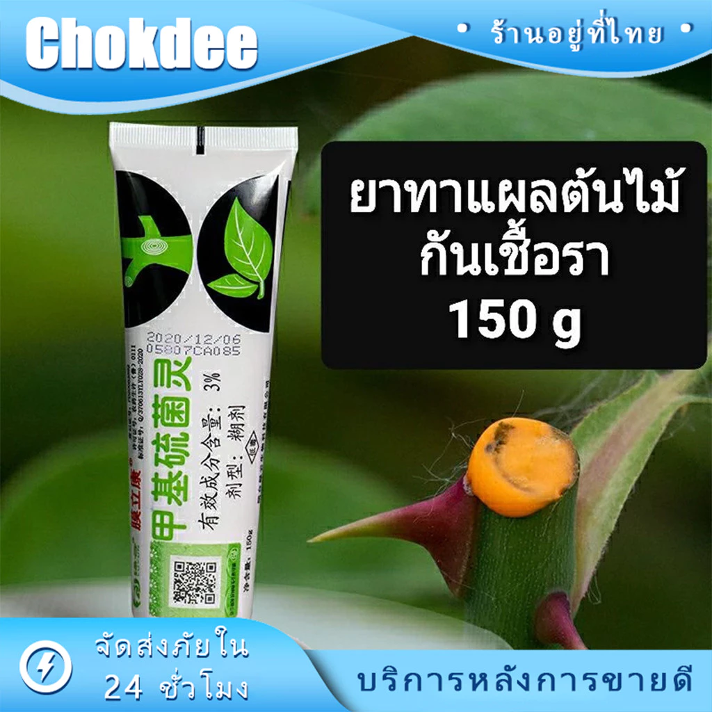 ร้านคนไทย! 150g ยาทาแผลต้นไม้ สำหรับกิ่งเน่า,กิ่งดำ บอนไซ กุหลาบ แคคตัส ชวนชม ป้องกันเชื้อรา