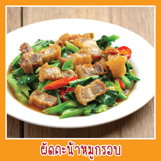สติ๊กเกอร์ ผัดคะน้าหมูกรอบ รูปอาหาร ขนาด 20x20 ซม. ภาพอาหาร …