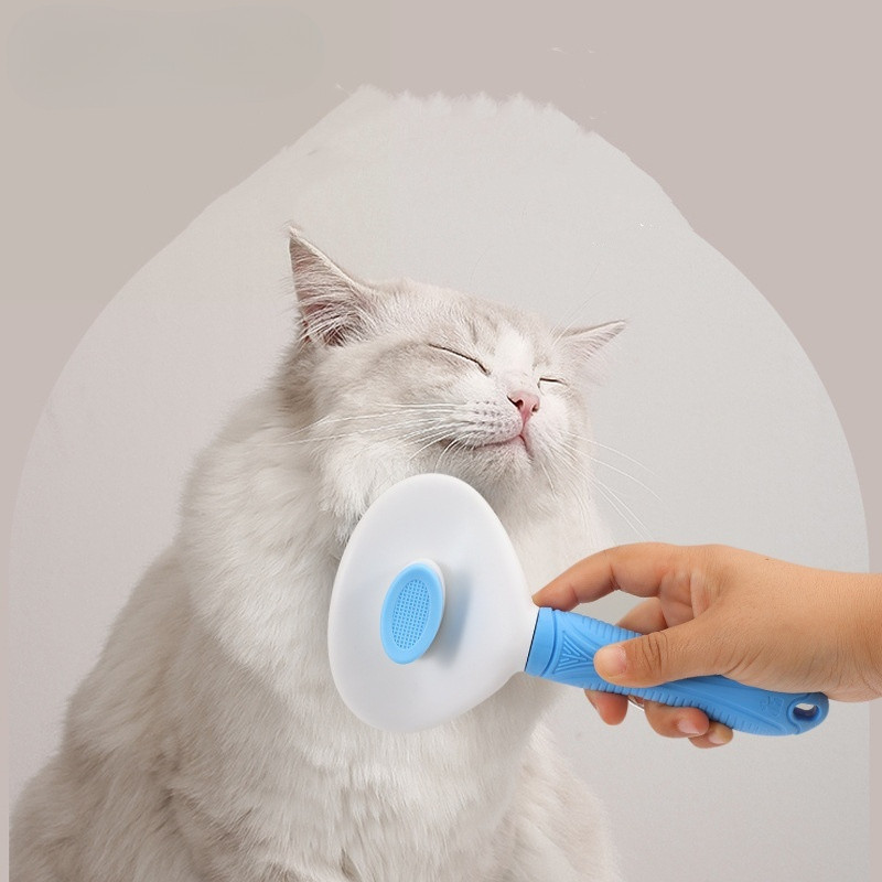 รูปภาพ 8