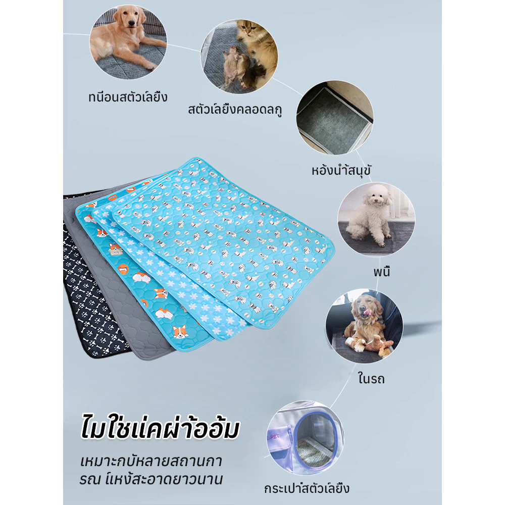 แผ่นรองฉี่สัตว์เลี้ยงซักได้ กันลื่น thumbnail 7