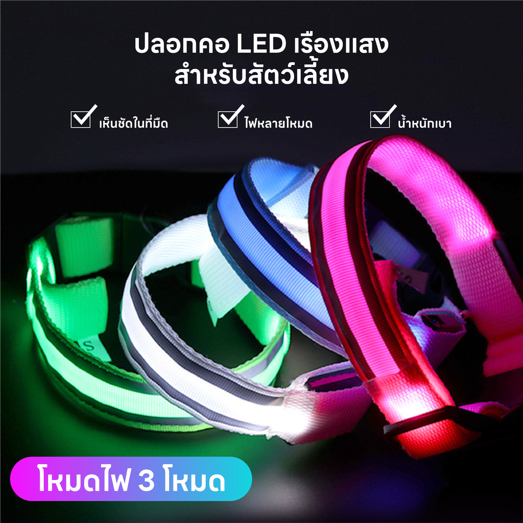 รูปภาพ 2