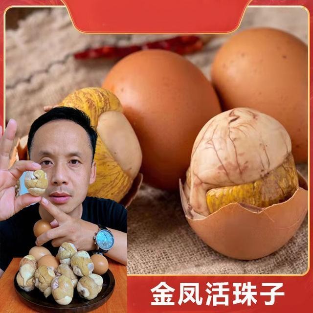 ผลิตภัณฑ์ใหม่พร้อมสต็อก เป่ยจิน ทองฟีนิกซ์ลูกปัดมีชีวิตสดไร้ขนห้าเครื่องเทศอาหารสําเร็จรูป13วันไข่ปร