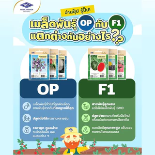เจียไต๋ เมล็ดผัก ผักสวนครัว (เมล็ดพันธุ์ผัก เจียไต๋ OP)