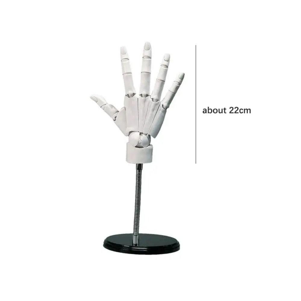 จัดส่งจากประเทศไทย Hand Model รูปที่ 2