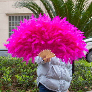 80*45 ซม./50*45 ซม.ขนาดใหญ่ Fluffy Feather พัดลม Stage Perfo…