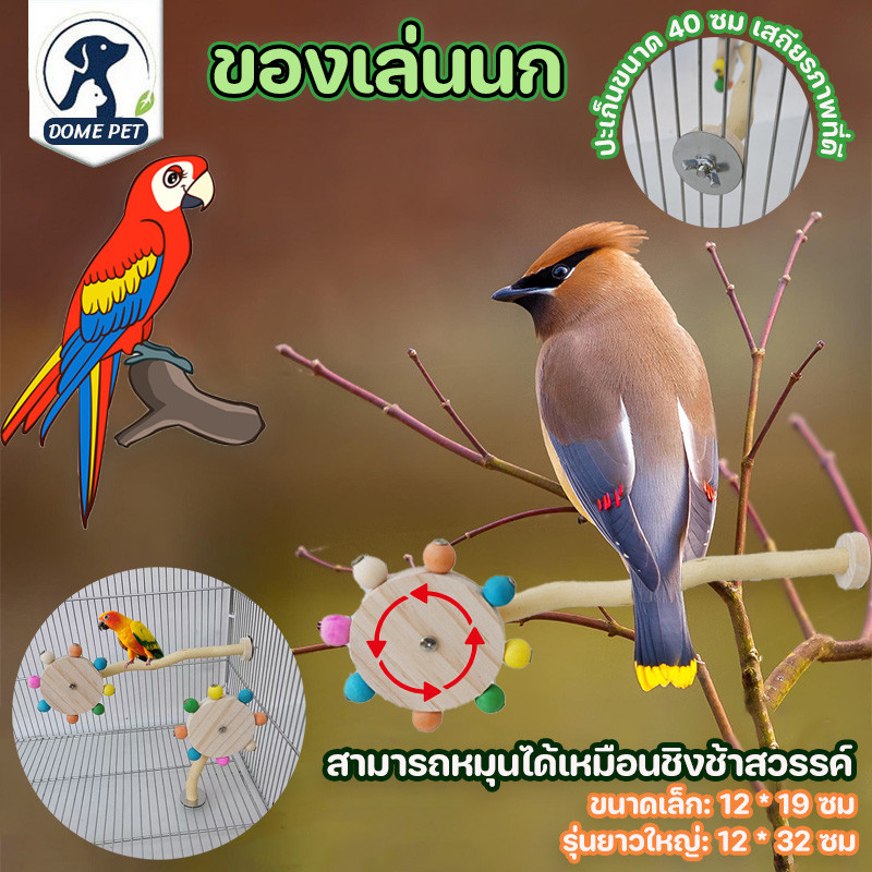DOME PET COD ของเล่นนก นกแก้ว ของตกแต่งกรง ของใส่กรงนก ของเล่นนกแก้ว พร้อมลูกบอลหมุนได้ หลากสี ของเล่นฝึกนก