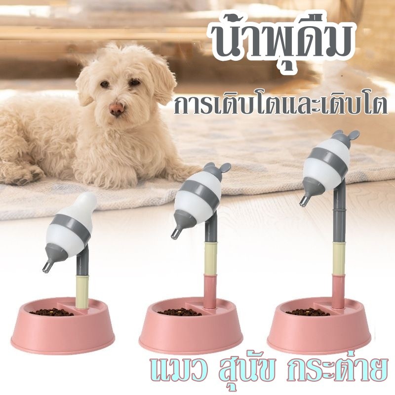 😺🐕2 in 1ที่ให้น้ำอัตโนมัติ ขวดน้ำกระต่าย ขวดน้ำสุนัข ขวดน้ําแมว แบบติดกรง บรรจุน้ำได้