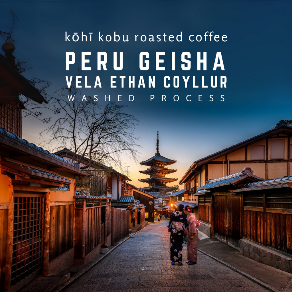 [Limited Geisha] 🌷 Peru Vela Ethan Coyllur Geisha | กาแฟคั่วเกชา