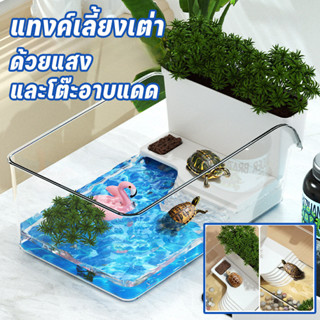 ตู้ปลาเต่า แทงค์เลี้ยงเต่า ด้วยแสง และโต๊ะอาบแดด ลานอเนกประส…