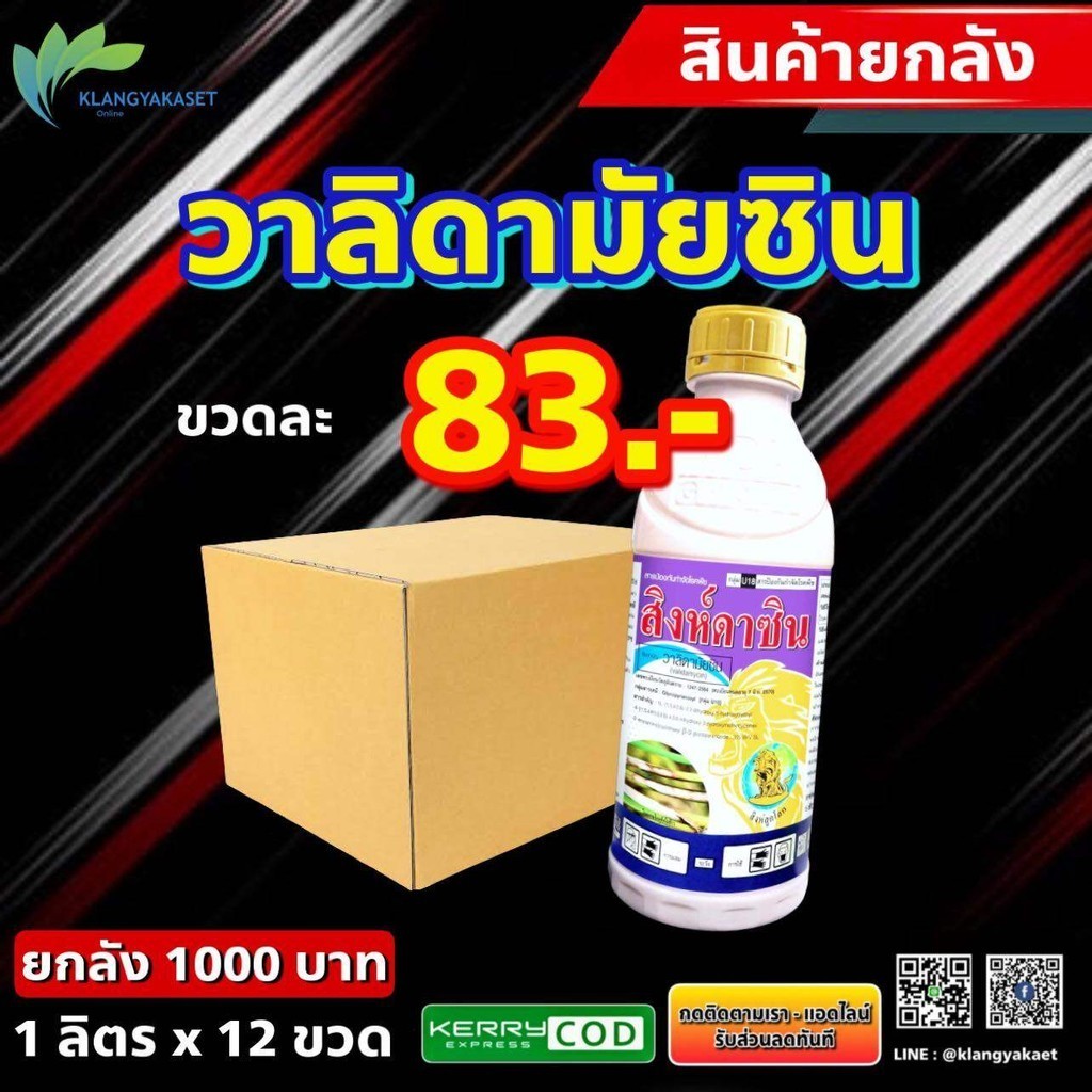 ยกลัง 12 ขวด สิงห์ดาซิน 1ลิตร วาลิดามัยซิน กำจัดเชื้อรา ใข้ได้ทุกพืช กาบใบแห้ง ยากำจัดโรคพืช ยาป้องกันโรคพืช วาลิด วาลิ