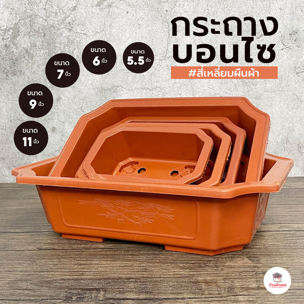 กระถางบอนไซสี่เหลี่ยมผืนผ้า #สีอิฐ กระถางพลาสติก ทรงเตี้ย กระบองเพชร ไม้อวบน้ำ Cactus&Succulent