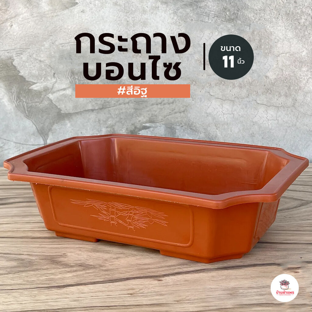 กระถางบอนไซ 11 นิ้ว #สีอิฐ กระถางสี่เหลี่ยมผืนผ้าพลาสติก แคคตัส กระบองเพชร ไม้อวบน้ำ Cactus&Succulent
