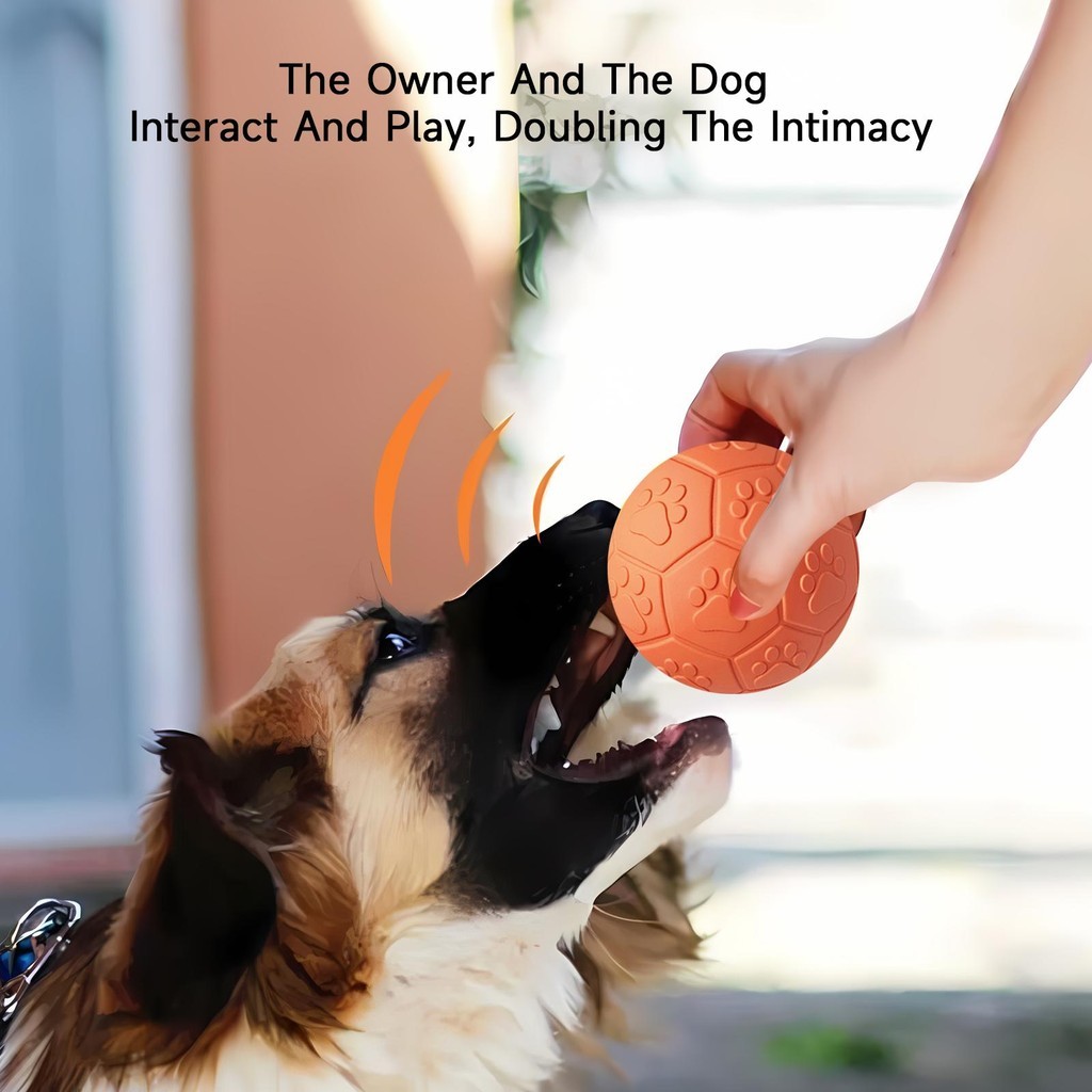 MOMOVIDA Football (DT-15) (DT-15L) ฟุตบอล ลูกบอลสุนัข ลูกบอลฝึกสุนัข ลูกบอลมีเสียงสำหรับสุนัข