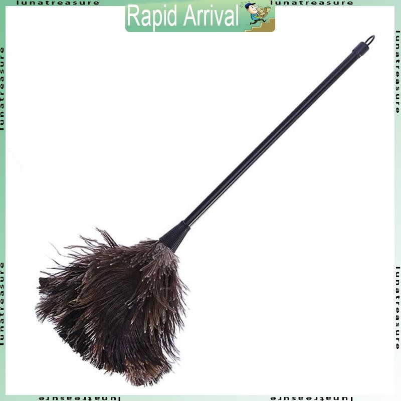 Ostrich Duster Feather Cleaning Brush with Long Handle Computer Dust Removal