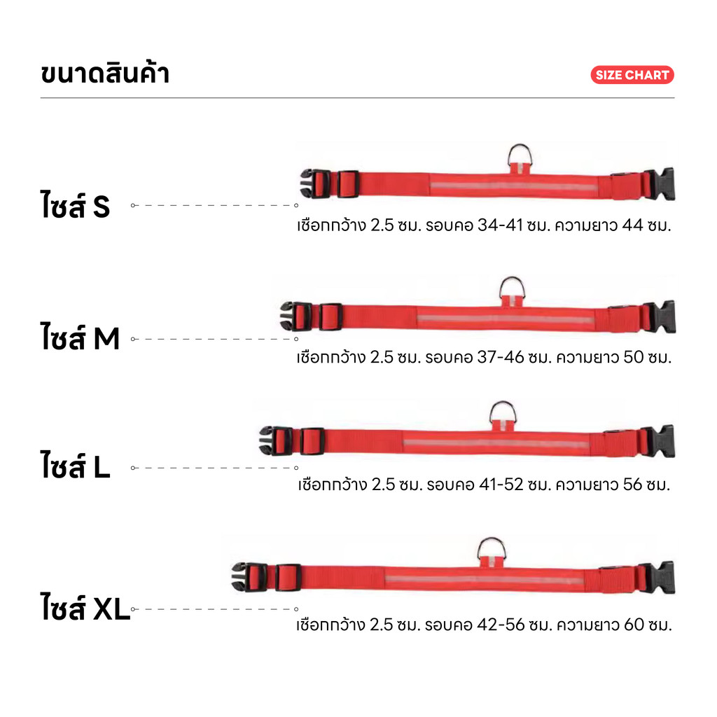 รูปภาพ 8