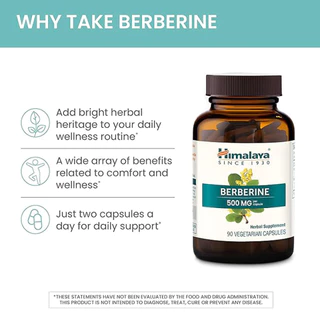 ​​Himalaya Berberine สารสกัดจากต้นบาร์เบอร์รี่ (500mg/แคปซูล) 90 แคปซูล
