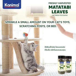 Kanimal Catnip แคทนิป แบบสเปรย์และผง ช่วยให้แมวผ่อนคลาย ลดความเครียด เพิ่มความสนุกสนาน