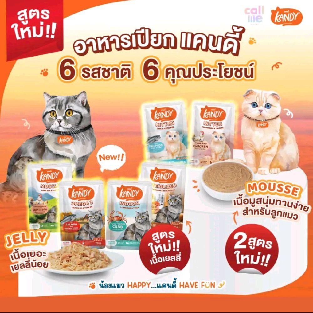 (Live)อาหารเปียกแมว Kandy แคนดี้ แบบ 1 ซอง ผลิตจากปลาเนื้อขาว ขนาด 70 กรัม ไม่ใส่เกลือ