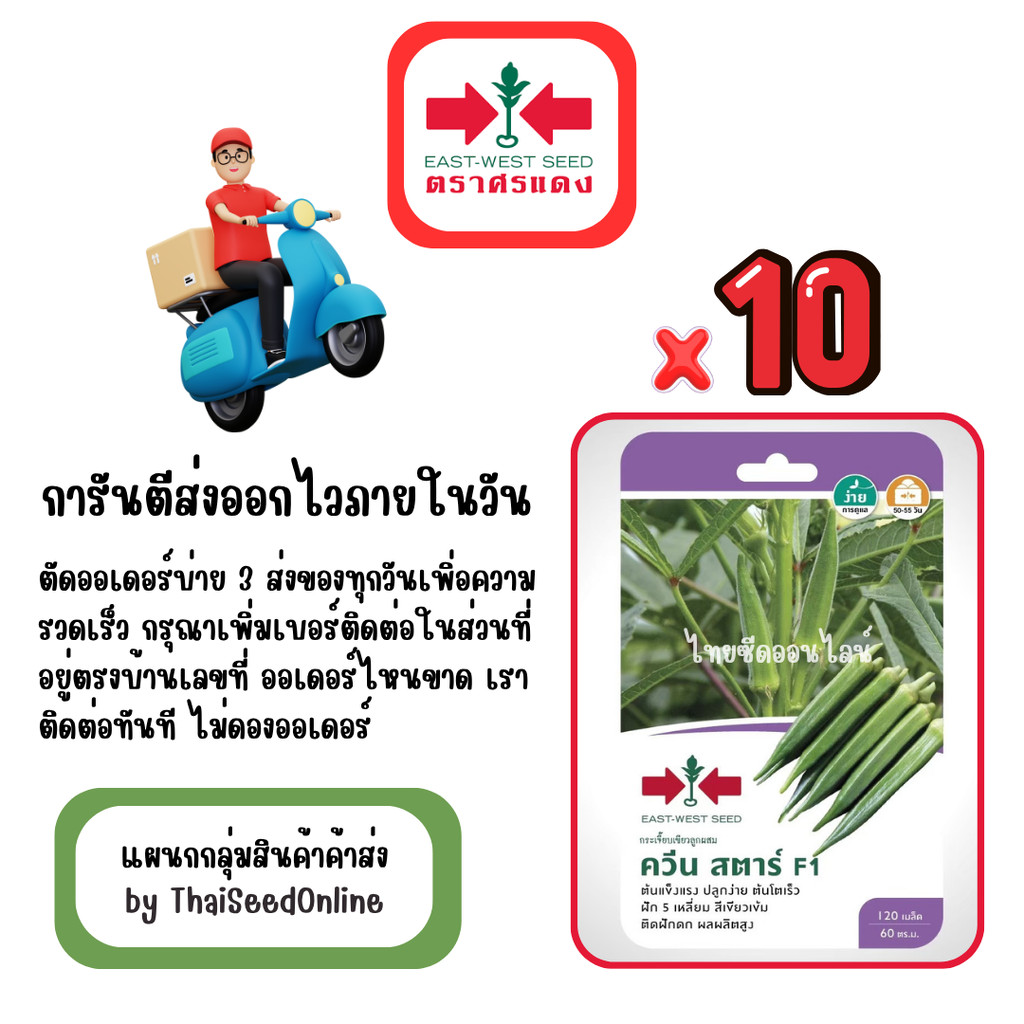 GG x 10 เมล็ดผักซองศรแดง ควีนสตาร์ กระเจี๊ยบเขียว สินค้ายกแพ็ค