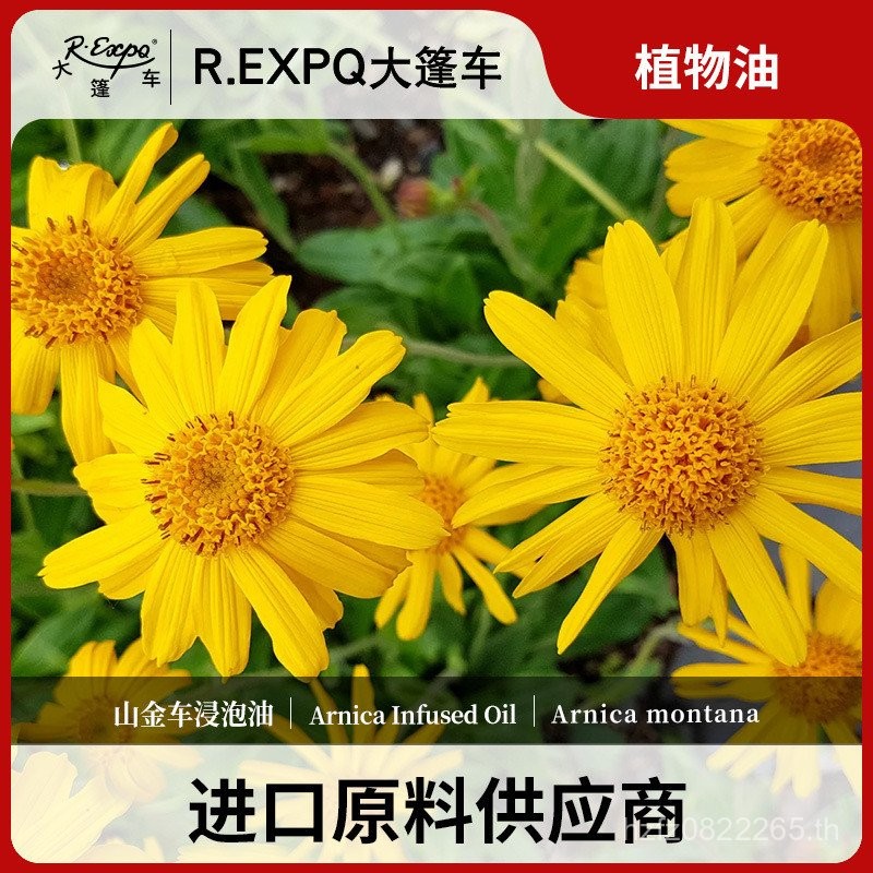 Arnica Raw Material Caravan Soaking Oil Arnica น้ํามันนวดร้านเสริมสวยขายส่งนําเข้าน้ํามันฐานพืช LH2G