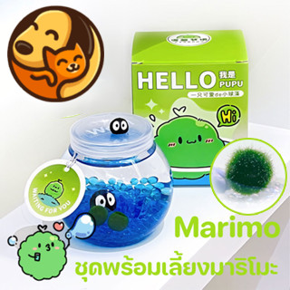 COD ชุดพร้อมเลี้ยงมาริโมะ Marimo เหมาะสำหรับให้เป็นของขวัญสำหรับคนที่รัก มาริโมะ มอสบอล