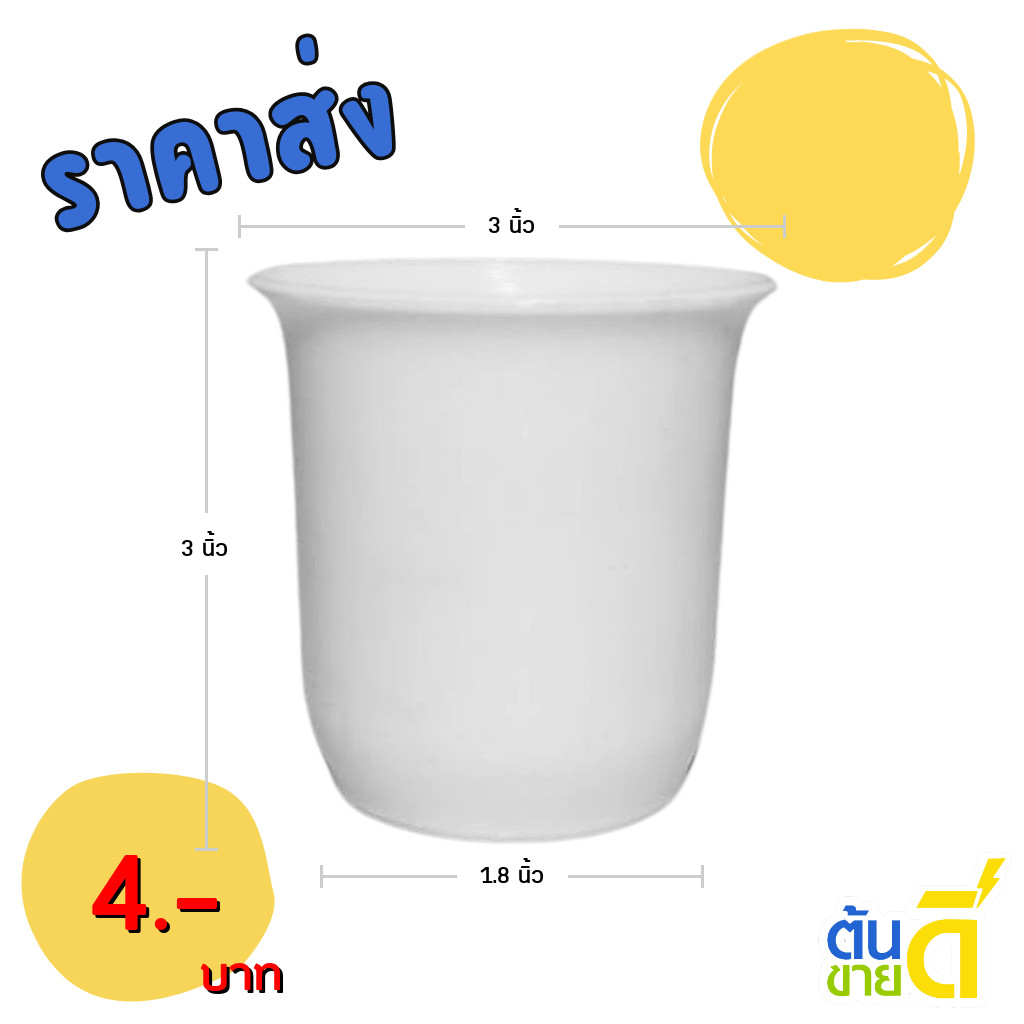 กระถาง กระถางต้นไม้ แคคตัส 3 นิ้ว ขาว Bundle 25 ใบ