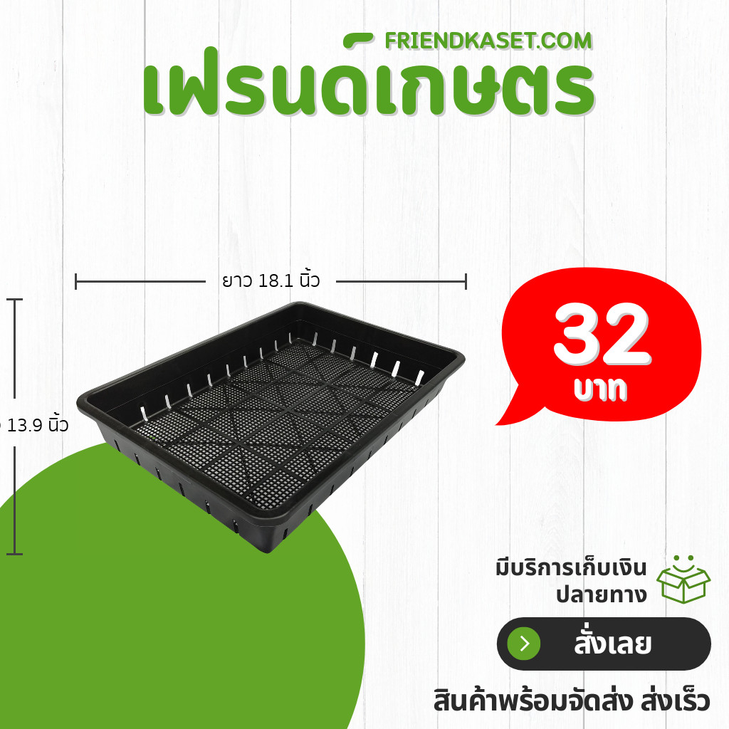 กระถาง ถาดเพาะไดโซะ ใส่กระถางต้นไม้ XL ( รู ) สีดำ