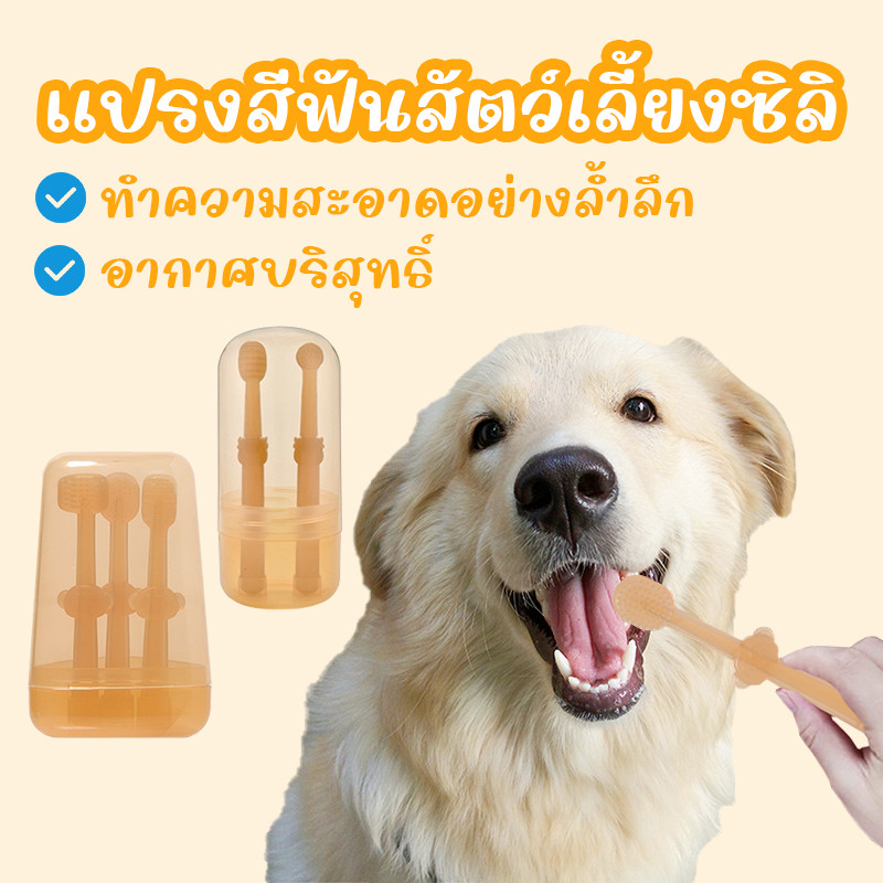 2PCS/3PCS แปรงสีฟันซิลิโคนสำหรับสัตว์เลี้ยง ชุดแปรงสีฟันซิลิโคน แปรงสีฟันสัตว์เลี้ยง ทำความสะอาดฟัน  ไม่เจ็บปาก