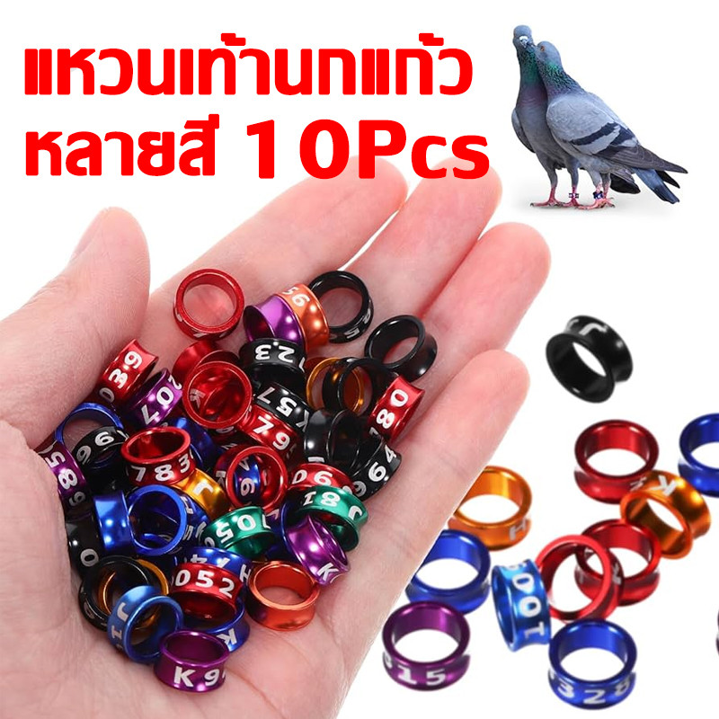 ห่วงขานกแก้ว 10 ชิ้น ห่วงขานก ห่วงเปิดคล้องขานก ห่วงเปิด ทำจากอลูมิเนียม น้ำหนักเบา ฟอพัส หงษ์หยก