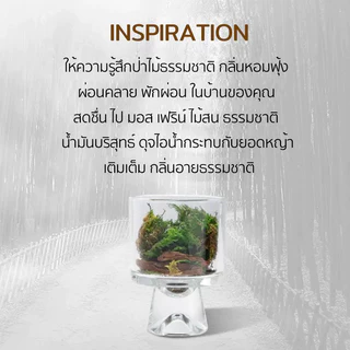 Aeste น้ํามันหอมระเหย หินหอมภูเขาไฟ อโรมา หินหอมคริสตัลธรรมชาติ น้ำหอมกลิ่น Aroma Crystal Stone Diffuser