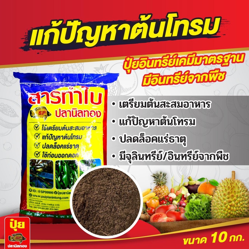 ปลานิลทอง สารทำใบ ขนาด 10 กิโลกรัม แก้ปัญหาต้นโทรม ปลดล็อกแร่ธาตุ เตรียมต้นสะสมอาหาร ของแท้ ขายดีกว่า15ปี