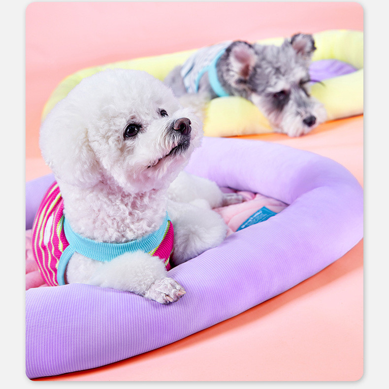 CheesePet เบาะสัตว์เลี้ยงแบบเย็นสบาย เตียงแมว เตียงสุนัขขนาดเล็ก ใช้งานได้ทุกฤดู ราคา ถูกที่สุด ดีลบีเคเค แกลเลอรีภาพที่ 6