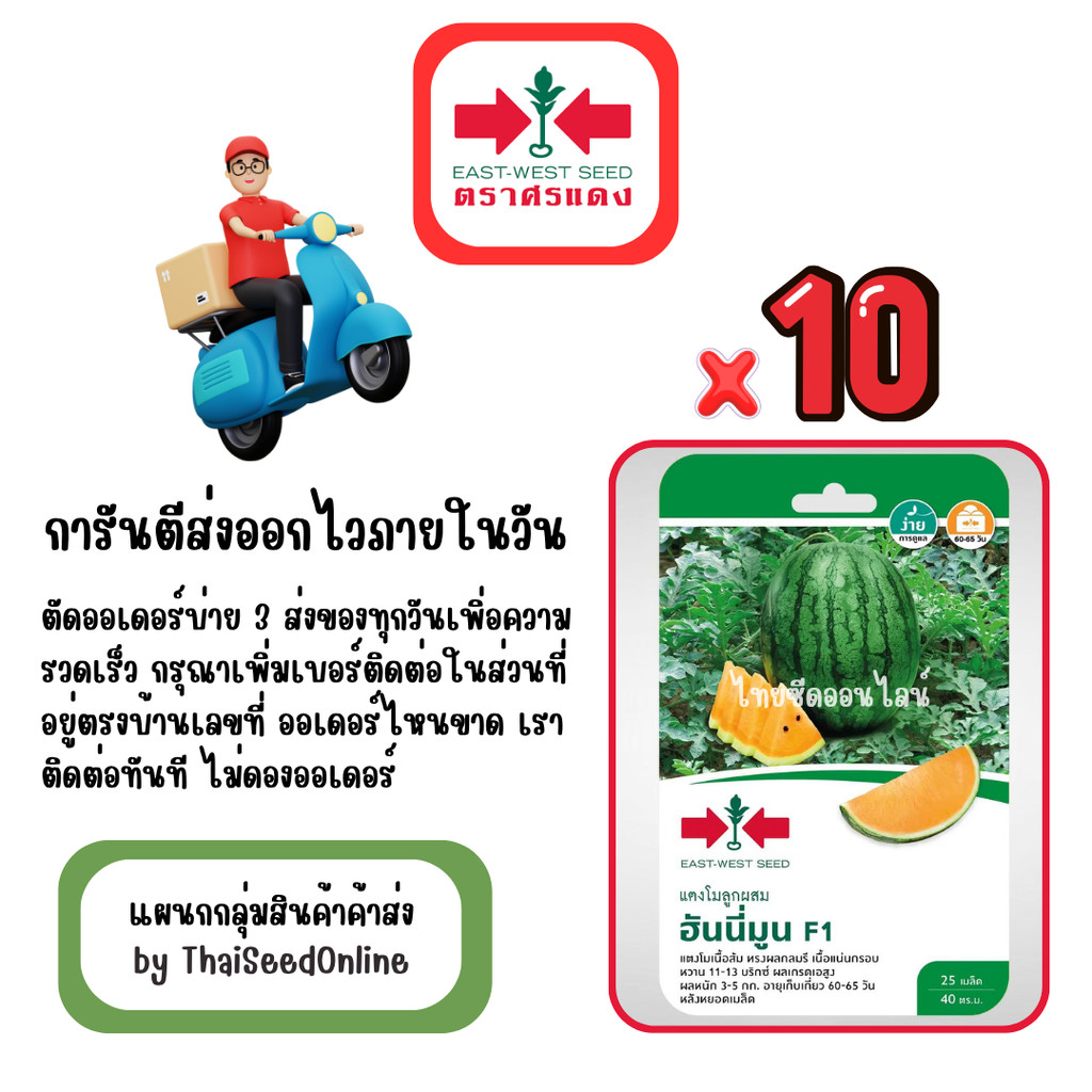 GG x 10 เมล็ดผักซองศรแดง ฮันนีมูน แตงโม สินค้ายกแพ็ค