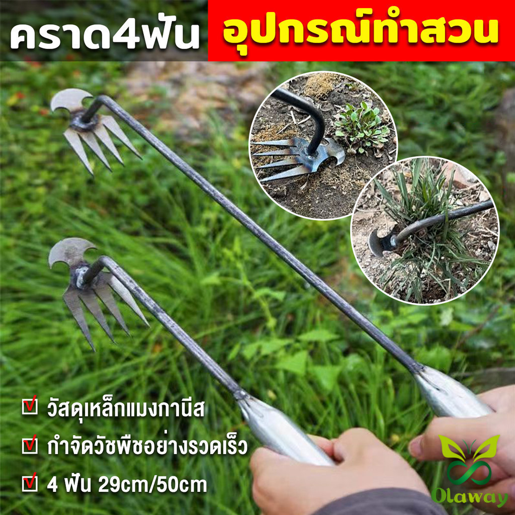 Olaway คราดเก็บหญ้า แบบ mini อุปกรณ์ทำสวน  คราดเหล็ก หัวคู่จอบขุดดิน 4 ฟัน ขุดหญ้า ขุดดิน rake
