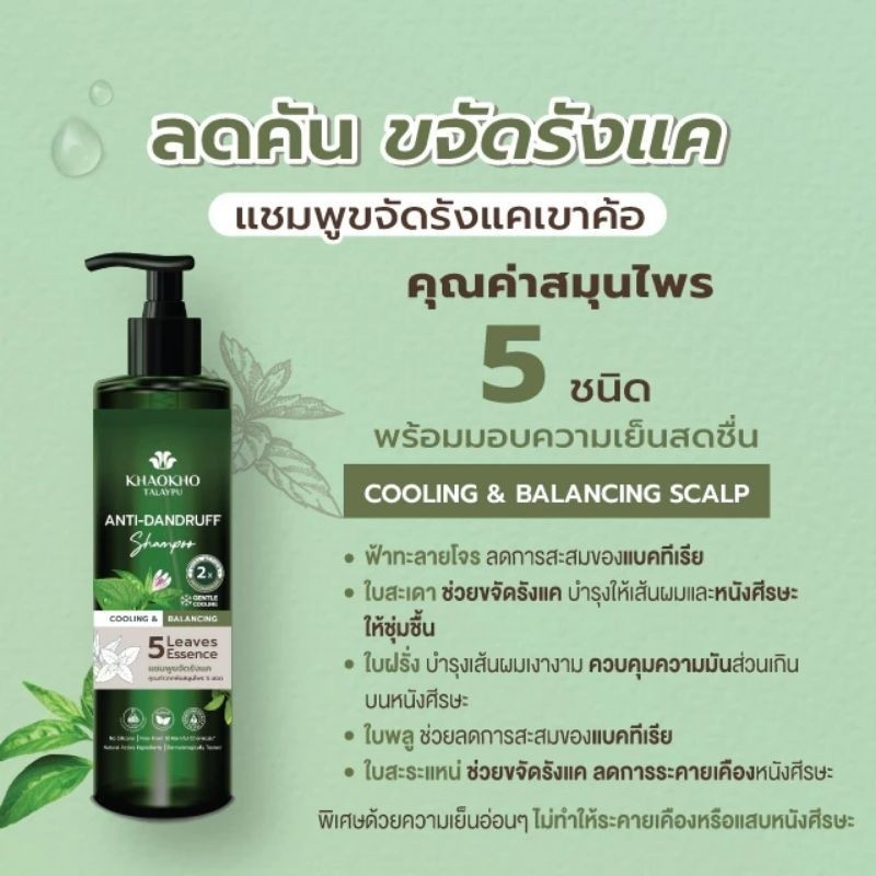 Khaokho Talaypu Anti-Dandruff Shampoo เขาค้อทะเลภู แชมพูขจัดรังแค เย็นสดชื่น 240 มล.
