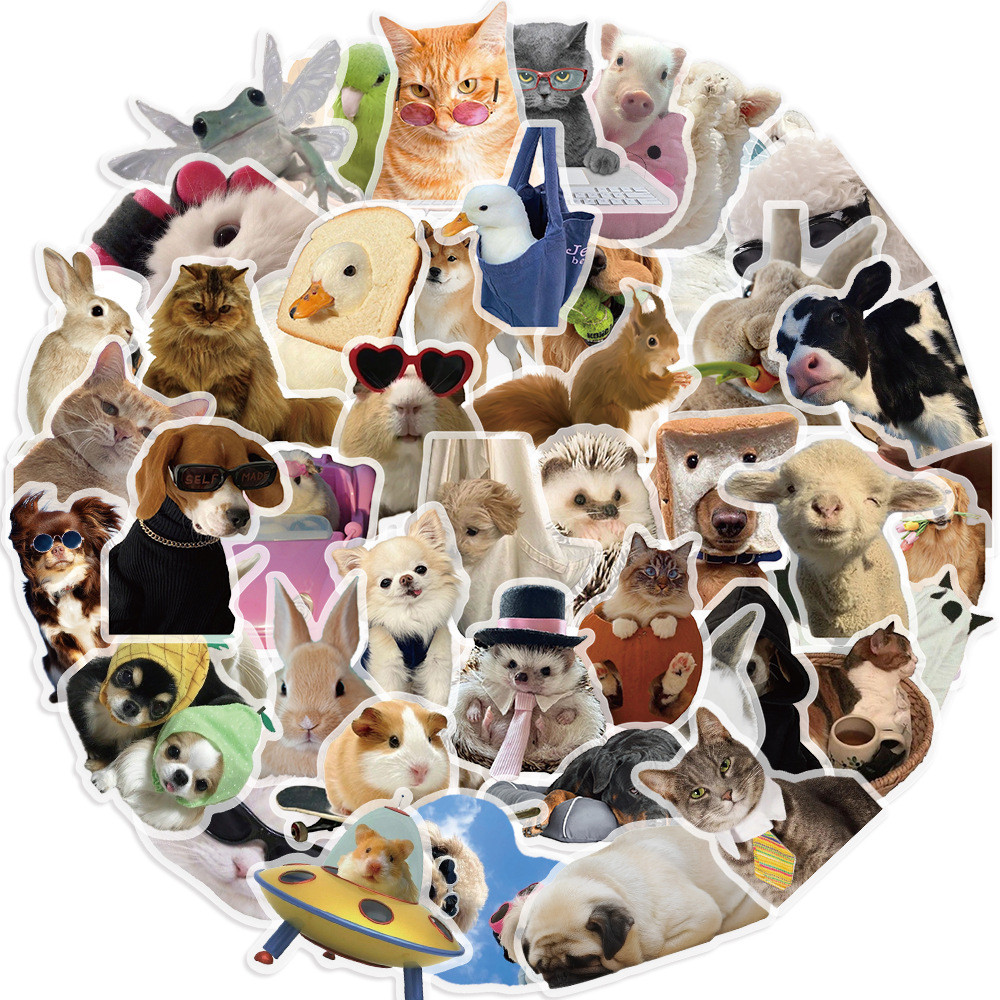 50pcs การ์ตูนน่ารักแมวและสุนัข Meme กันน้ํา Graffiti สติกเกอร์สําหรับจักรยานบัญชีมือกรณีดินสอ Decals LanLanStickersWorld