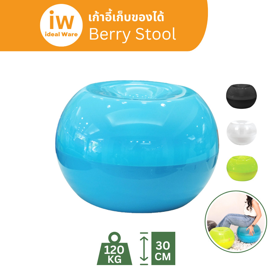 idealware สตูลเก็บของ Berry Stool สูง 30 ซม. รับน้ำหนักได้ 120 กก. เก็บของได้ เก้าอี้สตูล
