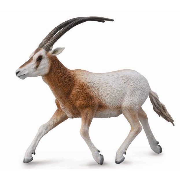 Collecta Wildlife รุ่น 88637 - ของเล่นตุ๊กตาสะสม Scimitar Horned Oryx