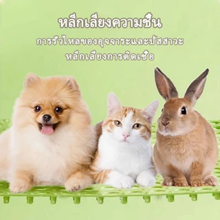 แผ่นรองกรง รองกรง กันลื่น แผ่นรองพื้น ที่รองกรง แผ่นรองพื้นกรง 30*30cm สามารถตัดได้ตามต้องการ